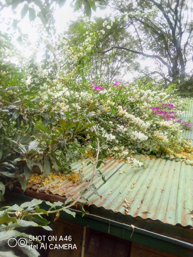 The Cottage-Place Of Grace 2Bdrm And Loft Bed All 4U At Usd58 Nairobi Exterior foto